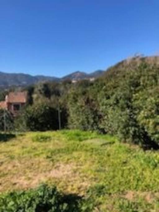 Villa En Corse Du Sud Entre Mer Et Montagne Peri المظهر الخارجي الصورة